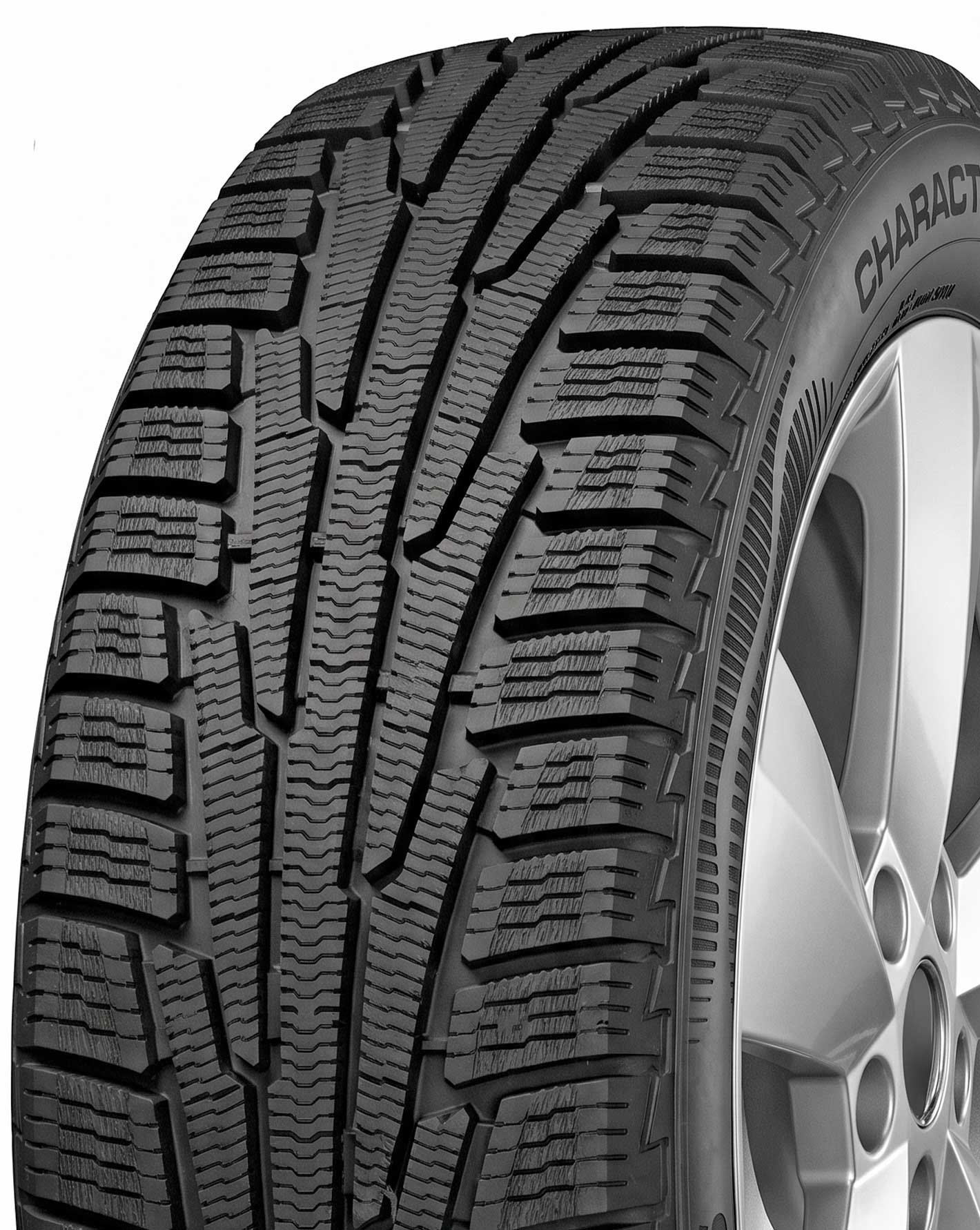 Ikon Tyres Character Snow 2 SUV (Nordman RS2 SUV) 235/55 R18 — фото модели